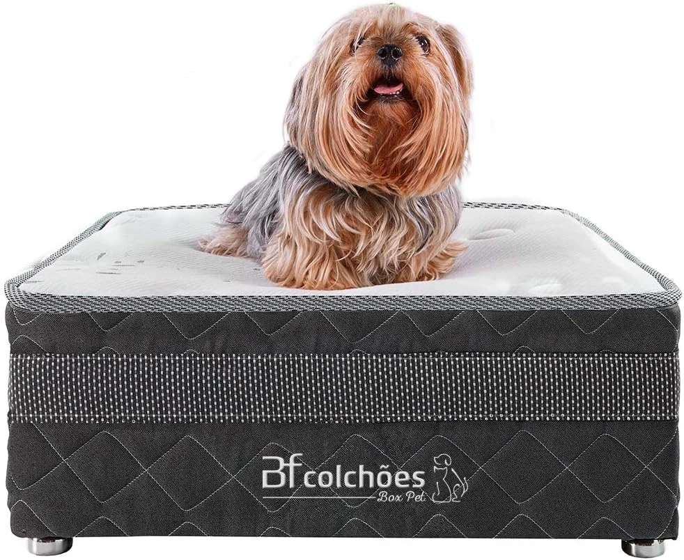 Cama Box Pet + Lençol Impermeável para Cachorros e Gatos Luxo Bf Colchões