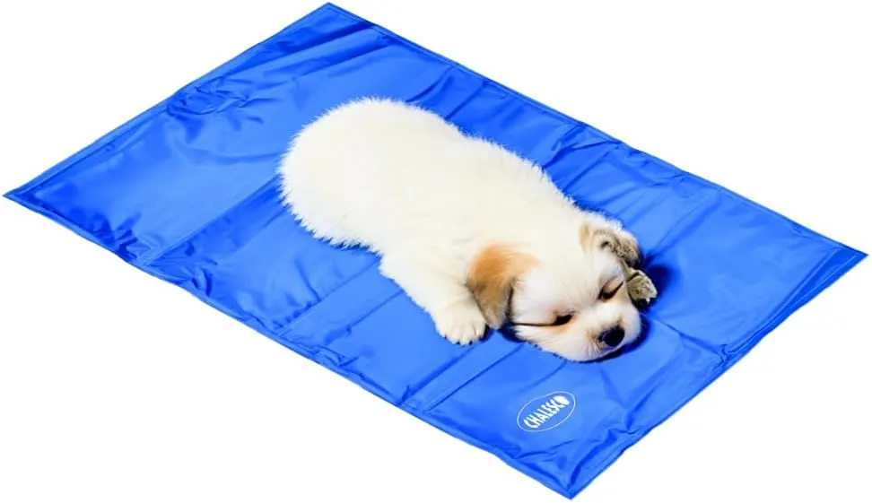 Chalesco Tapete Gelado M - 50 Cms X 60 Cms para Cães